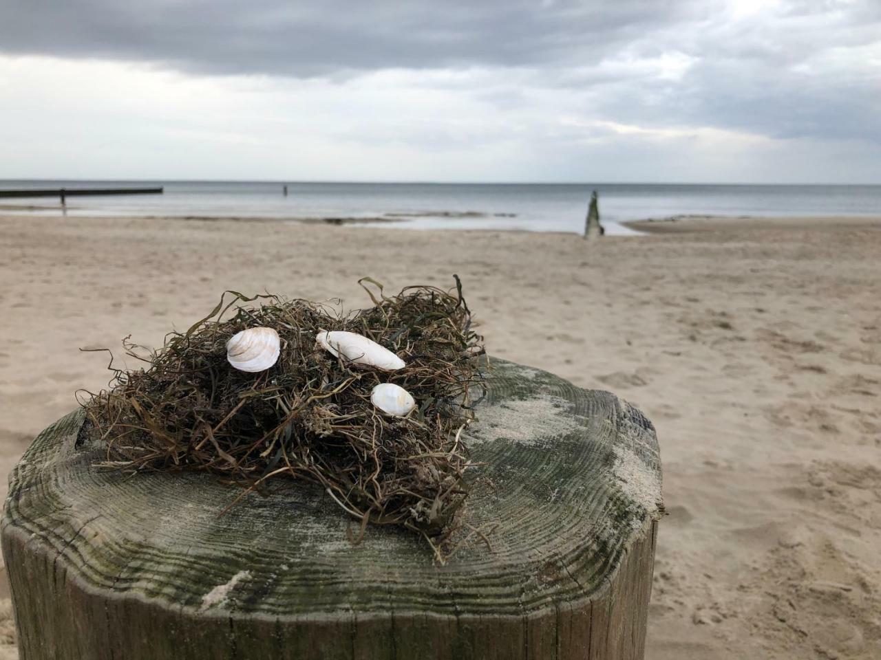 Ferienwohnung Strandnah Цемпин Екстериор снимка